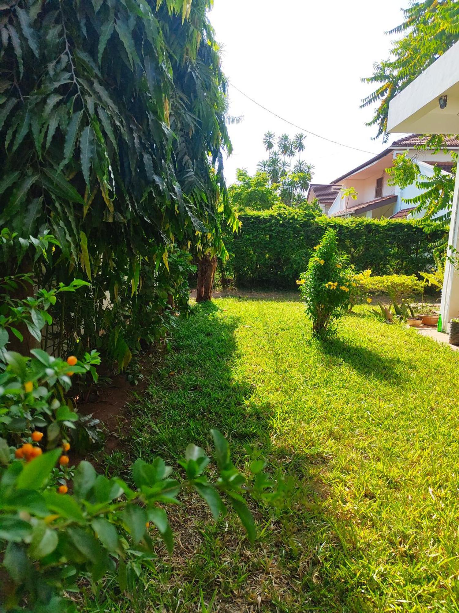 Salama Garden